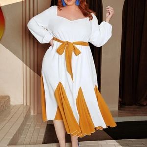 NWT Colorblock Dress